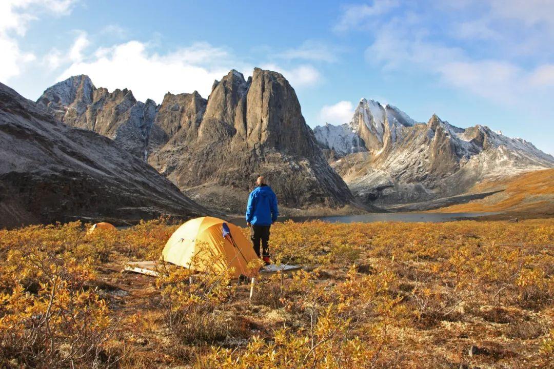 山峰音乐网，探索音乐高峰的新领地