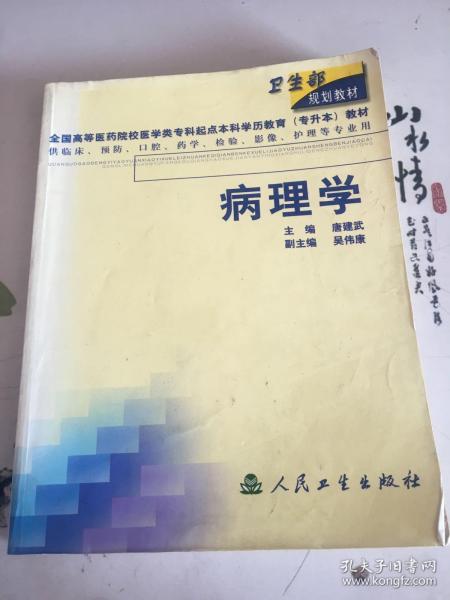 山东临床医学专升本，探索与实践之路